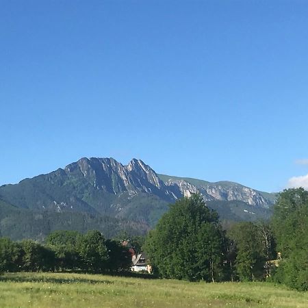 Camping Zakopane Willa Skoczek Oferta Nie Dotyczy Noclegu W Pokoju ,W Namiocie Reczniki Woda Mineralna , Koldra Poduszki Lub Spiwory エクステリア 写真