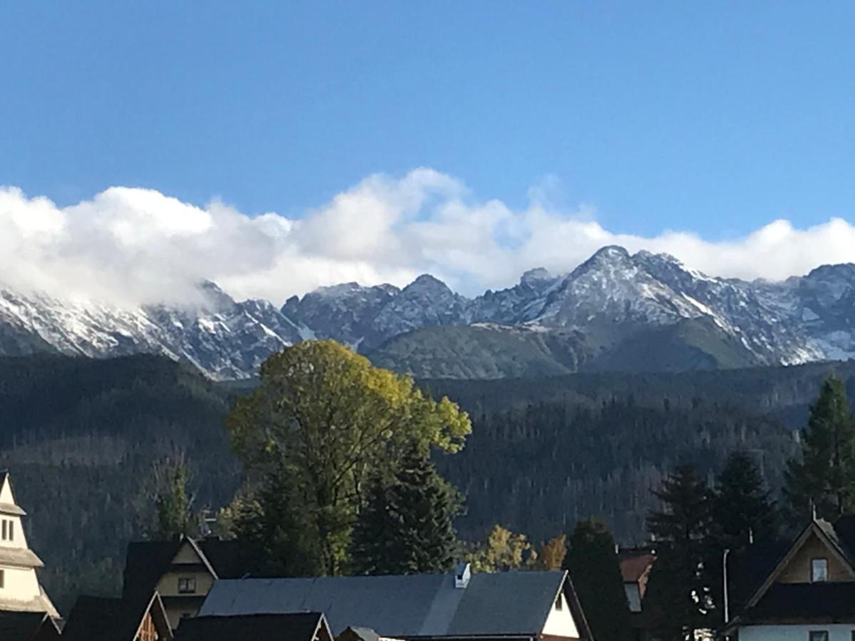 Camping Zakopane Willa Skoczek Oferta Nie Dotyczy Noclegu W Pokoju ,W Namiocie Reczniki Woda Mineralna , Koldra Poduszki Lub Spiwory エクステリア 写真