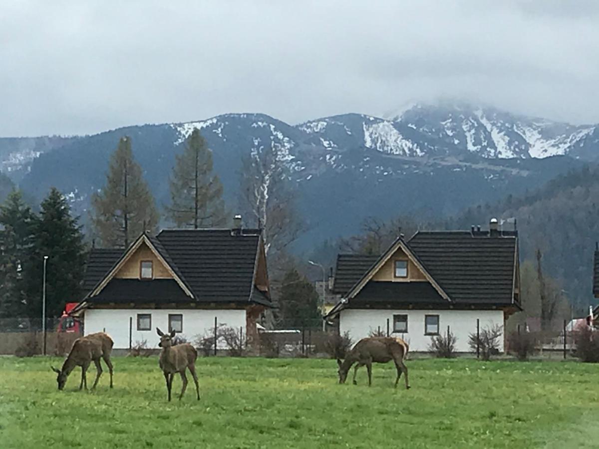 Camping Zakopane Willa Skoczek Oferta Nie Dotyczy Noclegu W Pokoju ,W Namiocie Reczniki Woda Mineralna , Koldra Poduszki Lub Spiwory エクステリア 写真