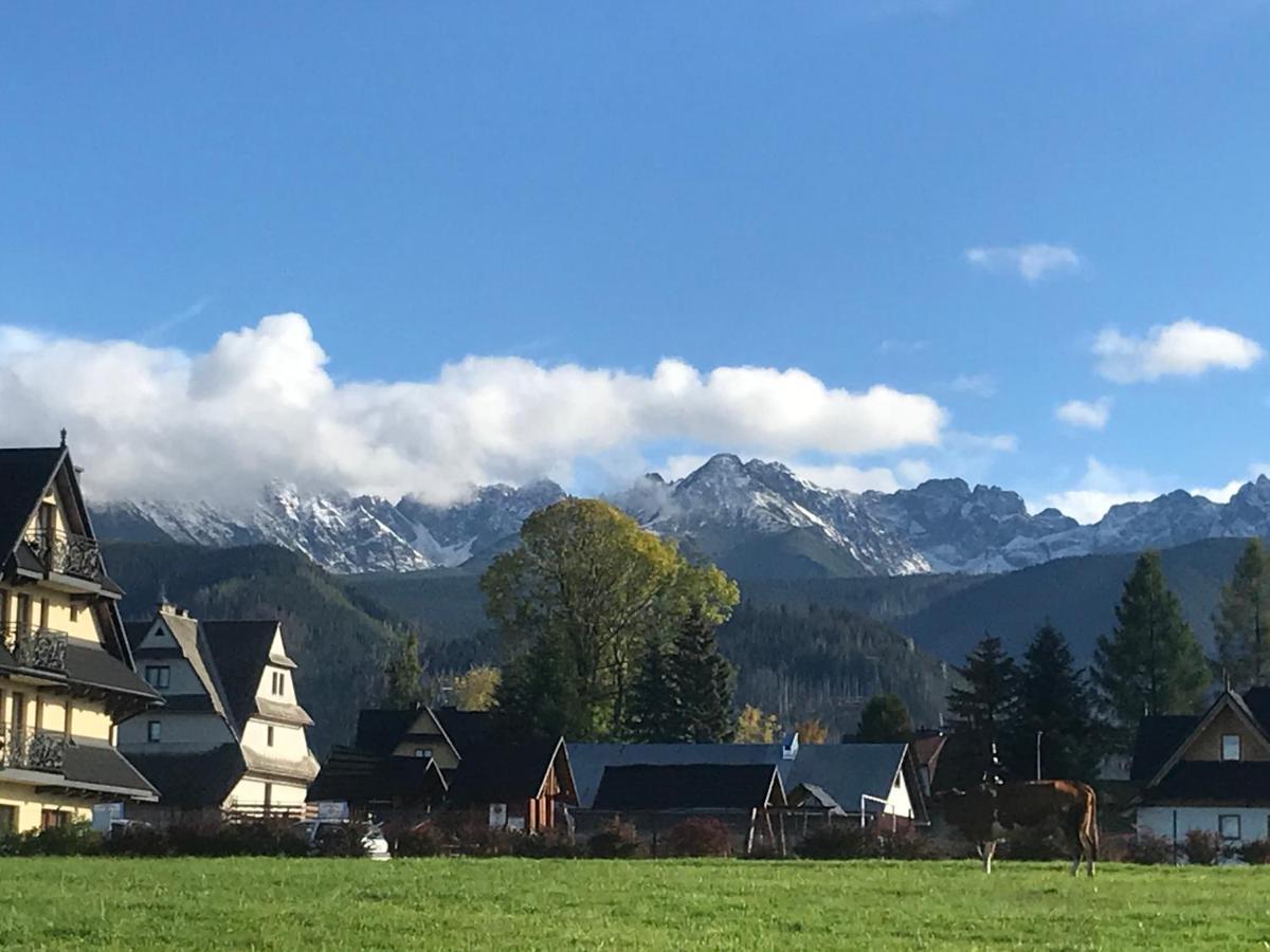 Camping Zakopane Willa Skoczek Oferta Nie Dotyczy Noclegu W Pokoju ,W Namiocie Reczniki Woda Mineralna , Koldra Poduszki Lub Spiwory エクステリア 写真