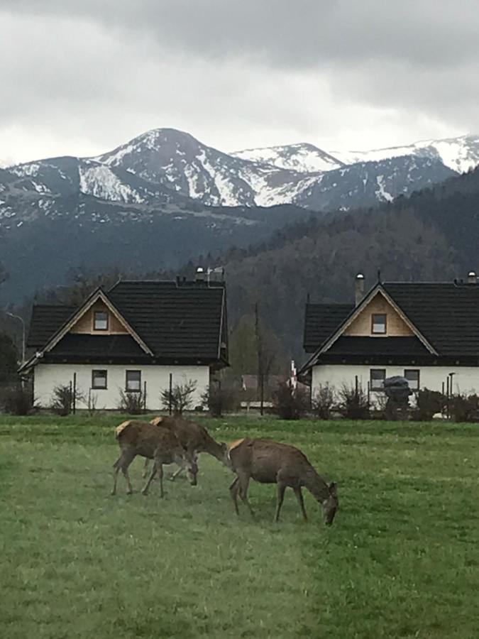 Camping Zakopane Willa Skoczek Oferta Nie Dotyczy Noclegu W Pokoju ,W Namiocie Reczniki Woda Mineralna , Koldra Poduszki Lub Spiwory エクステリア 写真