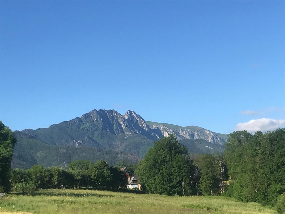 Camping Zakopane Willa Skoczek Oferta Nie Dotyczy Noclegu W Pokoju ,W Namiocie Reczniki Woda Mineralna , Koldra Poduszki Lub Spiwory エクステリア 写真
