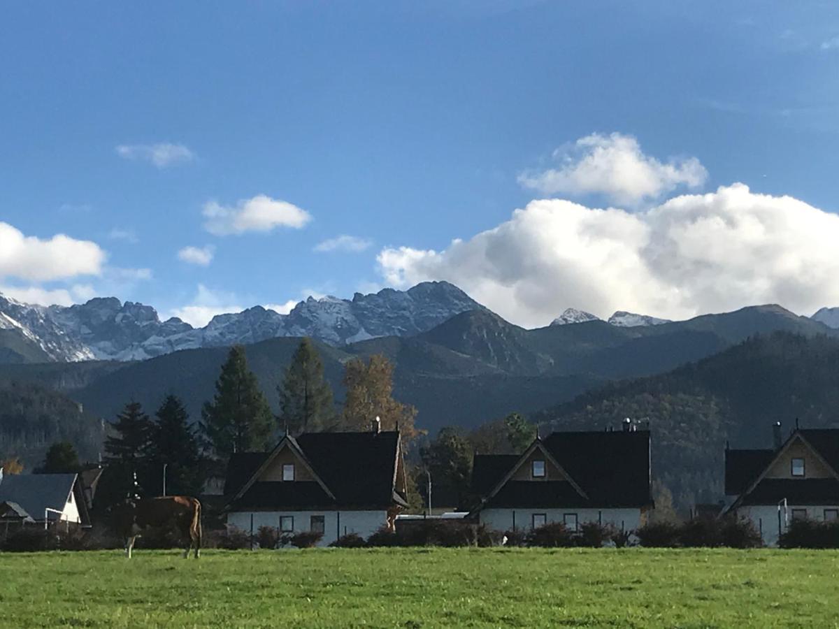Camping Zakopane Willa Skoczek Oferta Nie Dotyczy Noclegu W Pokoju ,W Namiocie Reczniki Woda Mineralna , Koldra Poduszki Lub Spiwory エクステリア 写真