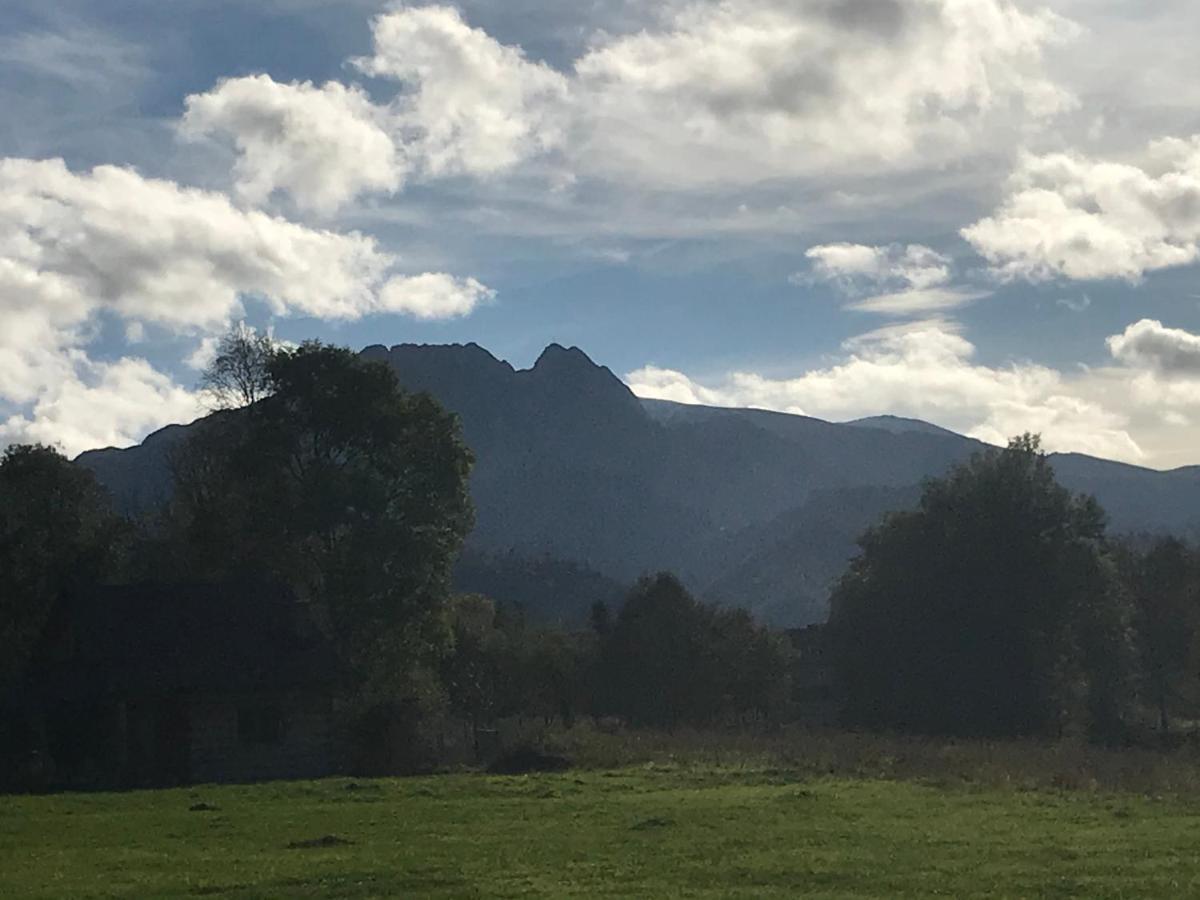 Camping Zakopane Willa Skoczek Oferta Nie Dotyczy Noclegu W Pokoju ,W Namiocie Reczniki Woda Mineralna , Koldra Poduszki Lub Spiwory エクステリア 写真